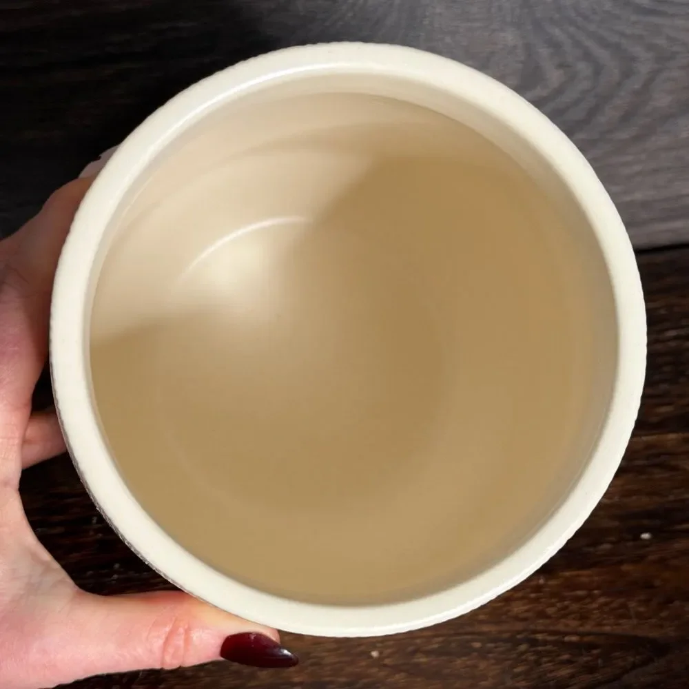 Crate & Barrel Ethan Medium Ceramic Canister in Cream. New!